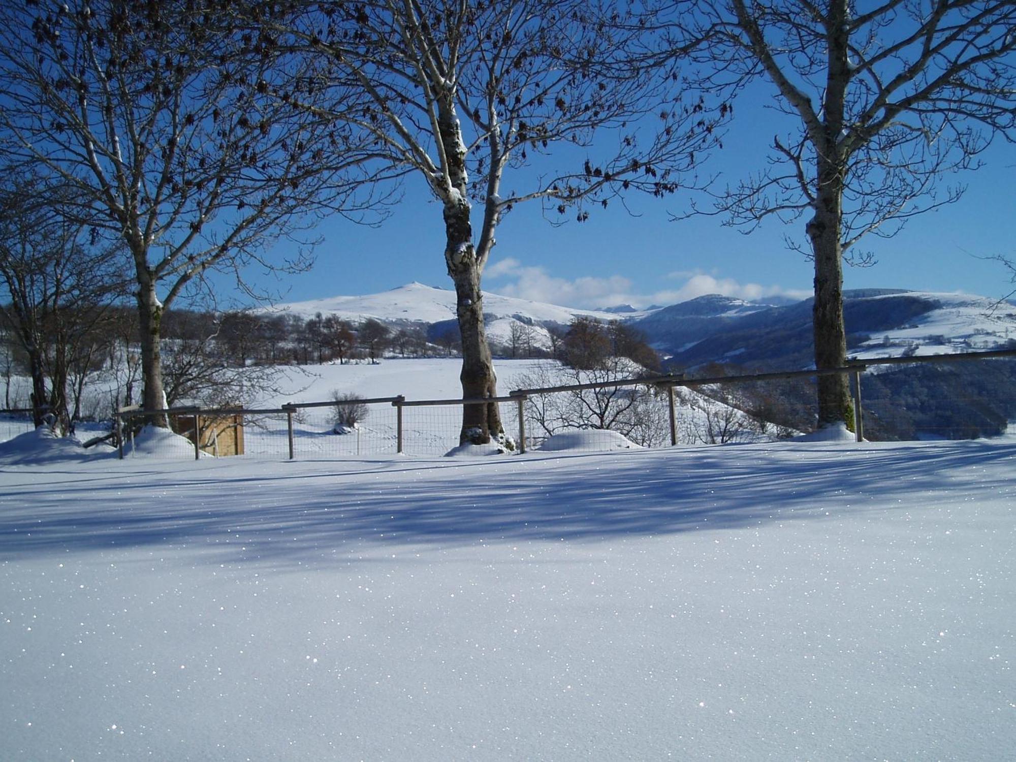 Domaine De La Chaux De Revel Saint-Martin-Valmeroux Exterior foto