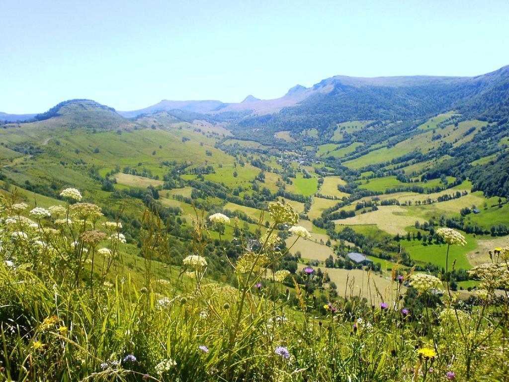 Domaine De La Chaux De Revel Saint-Martin-Valmeroux Exterior foto